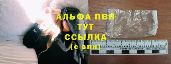 стафф Медвежьегорск