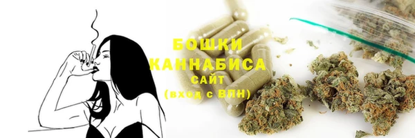бошки Медногорск