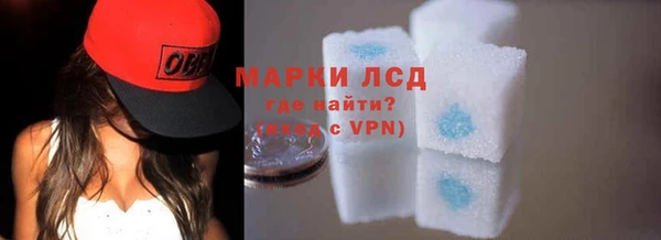 стафф Медвежьегорск