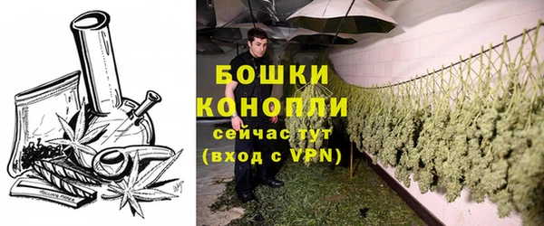 бошки Медногорск