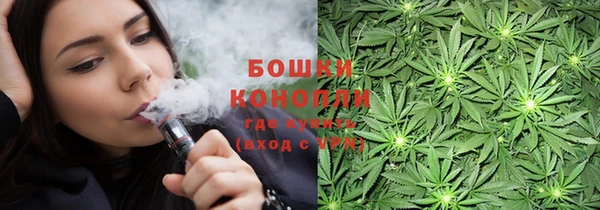 стафф Медвежьегорск