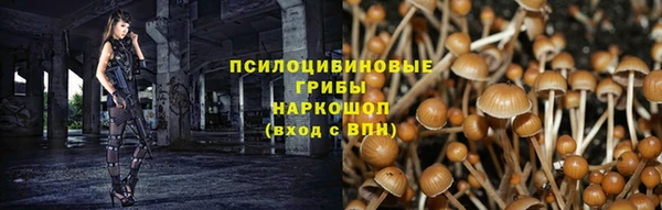 стафф Медвежьегорск